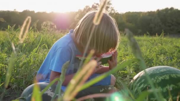 Fazendeiros filho comendo melancia com prazer no campo da fazenda orgânica . — Vídeo de Stock