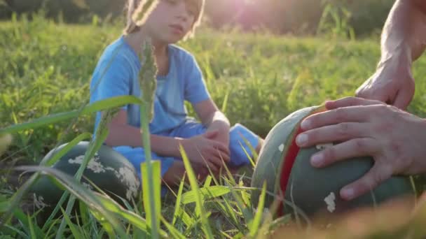 Jordbrukare far och son äta vattenmelon på fältet av ekologisk gård. — Stockvideo