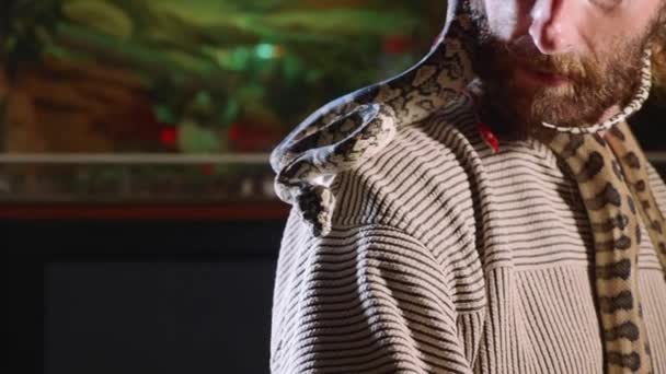 Snake se arrastra sobre los hombros de un hipster barbudo — Vídeo de stock