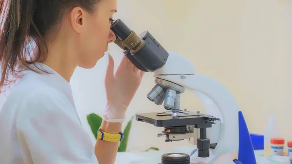 Weterynaryjnego pracownika przy użyciu mikroskopu do badania próbki krwi zwierząt — Zdjęcie stockowe