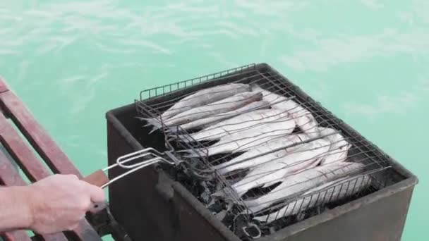 Grilling whole fishes on grate on the boat, close-up. — Stock Video