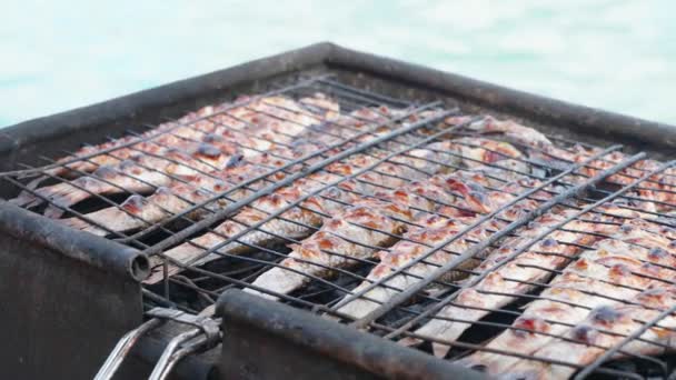 Grilling whole fishes on grate on the boat, close-up. — Stock Video