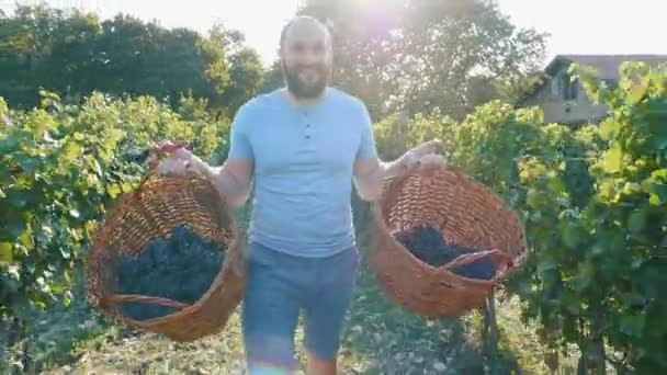 Feliz viticultor orgulloso va a la viña con dos cestas de uvas en las manos — Vídeos de Stock