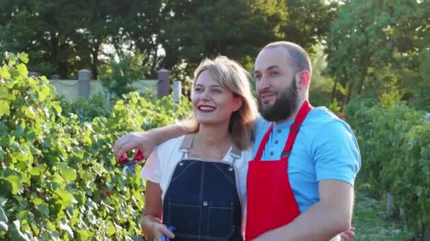 Щаслива пара фермерів розмовляє і мріє на винограднику — стокове відео