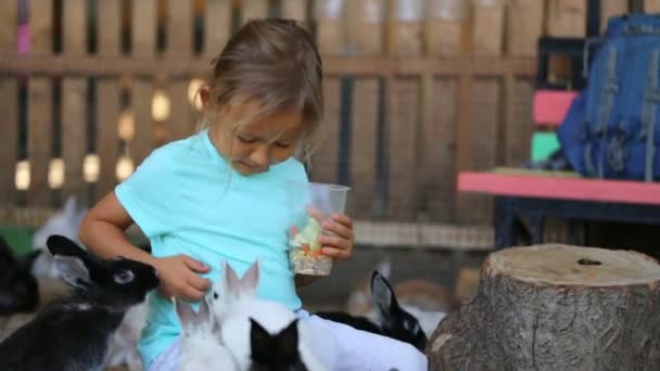 Cute child girl feeding rabbits from hands — Stock Video