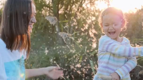 Mom and daughter having fun and blowing Dandelion seeds while relaxing at nature — Stock Video