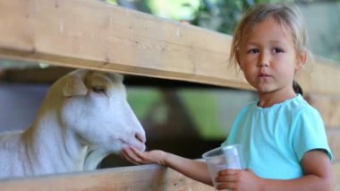 Şirin bebek kız bir keçi çiftliği onun elinden beslemeleri