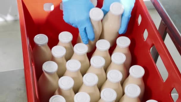 Bottles of milk puts in plastic box at milk factory, close-up — Stock Video