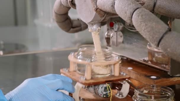 Fábrica de manteiga de noz - enchimento de fase. Nut creme coloca em frascos de vidro, close-up — Vídeo de Stock