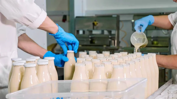 Workers filling a milk in bottles by hands at milk factory — Stock Photo, Image