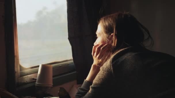 年轻女子从亚洲火车车窗往外看 — 图库视频影像