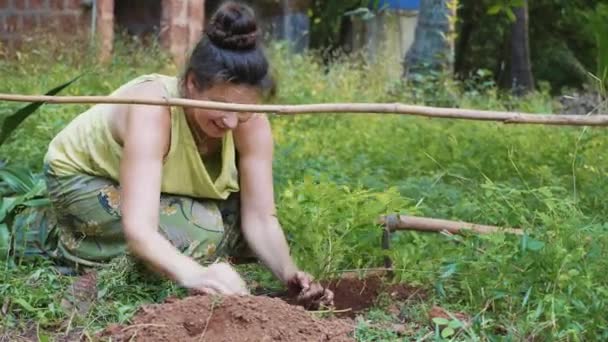 Young Woman Planting Sprouts Flowers Soil Garden — Stock Video