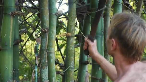 Homem caucasiano corta um bambu com facão na floresta — Vídeo de Stock