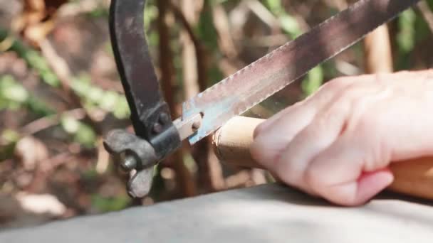 Senior homme faisant flûte par les mains en plein air . — Video