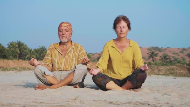 Couple sénior s'assoit et médite ensemble sur la plage de sable — Video