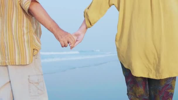 Pasangan senior berjalan di pantai dan berbicara, tembakan steadicam — Stok Video