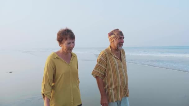 Couple sénior marchant sur la plage et parlant, steadicam shot — Video