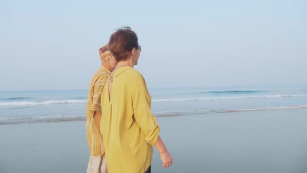 Starší pár na pláži chodí a mluví, steadicam shot — Stock video