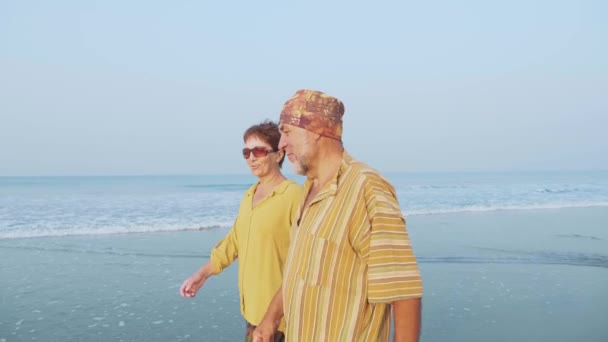 Coppia anziana a piedi sulla spiaggia e parlando, colpo steadicam — Video Stock