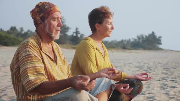 Senior couple sits and meditating together on sandy beach — Stock Video