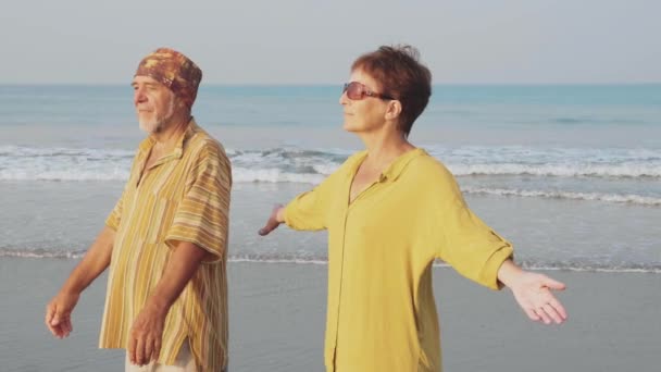 Pasangan tua berlatih yoga di pantai . — Stok Video