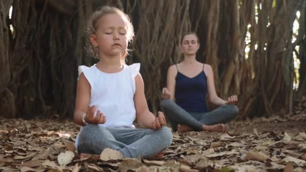 Kind meisje met jonge moeder samen mediteren onder de Banyanboom — Stockvideo