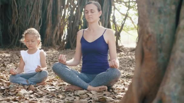 Маленькая девочка с молодой матерью медитируют вместе под баньяновым деревом — стоковое видео