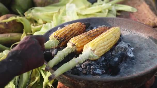 Tatlı mısır koçanı bir kömür ve sokak satıcıları çevirerek kavurma. — Stok video