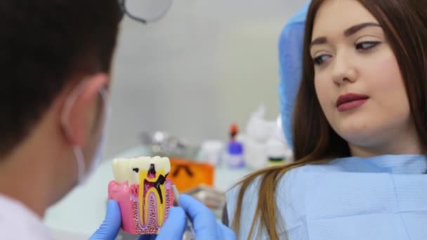 牙医正在解释使用牙齿模型的治疗方法 — 图库视频影像