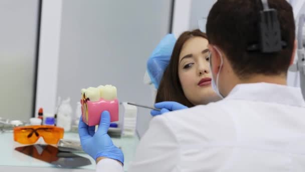 Mujer joven visita dentista y escucha consulta y mirando modelo de diente — Vídeo de stock