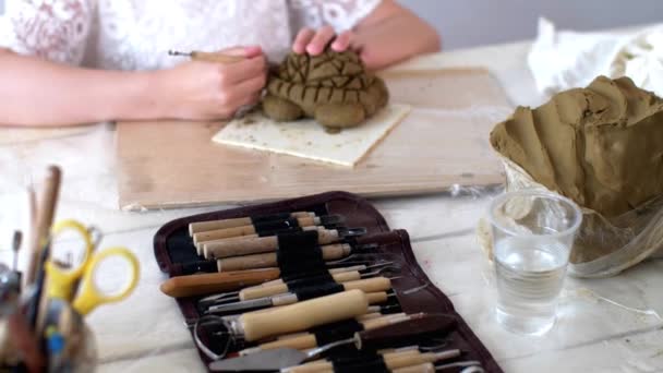 Mädchen modelliert Schildkröte aus feuchtem Ton mit Spezialwerkzeug in Kunstwerkstatt — Stockvideo