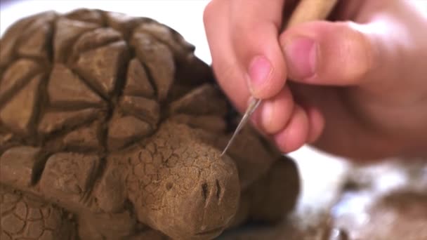 Bambino sta graffiando la struttura delle squame sul giocattolo tartaruga fatto a mano da argilla — Video Stock