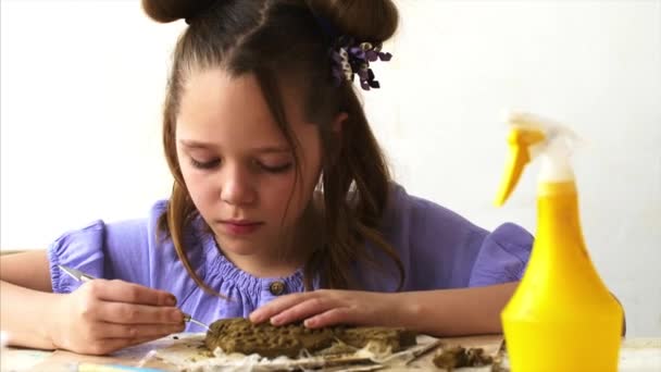 Retrato de niña está modelando juguetes de arcilla — Vídeo de stock