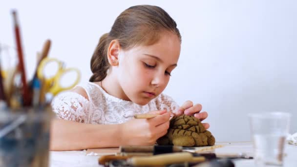 Porträtt av Kid flicka är modellering leksaker från lera — Stockvideo