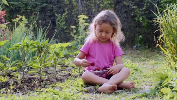 Niña está comiendo fresas sentado en la hierba en la granja . — Vídeo de stock