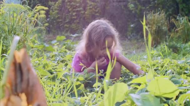 Kind meisje is het eten van aardbeien zittend gesquatted in de tuin. — Stockvideo