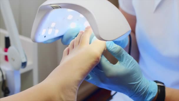 Педикюрст мастер в перчатках сушит шеллак на пальцах ног специальной ультрафиолетовой лампой . — стоковое видео