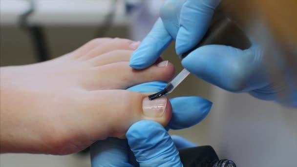 Pedicure master paints toenails using transparent shellac base in beauty salon. — Stock Video