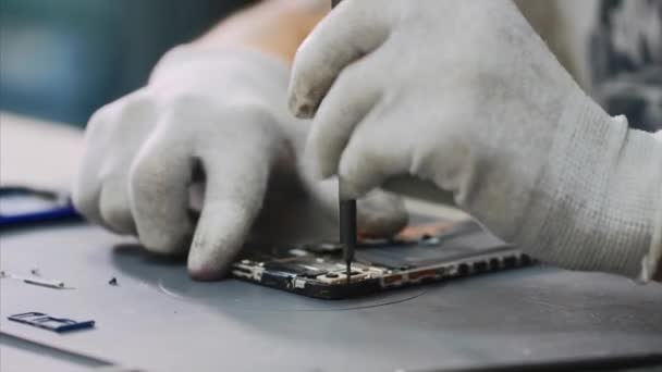 Reparman in witte handschoenen disassembleert smartphone met schroevendraaier in workshop. — Stockvideo