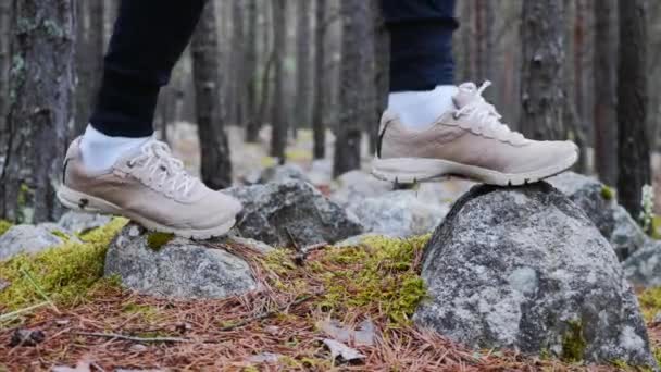 Legs of woman hiker walking on cobblestones in pine forest at autumn. — Stock Video