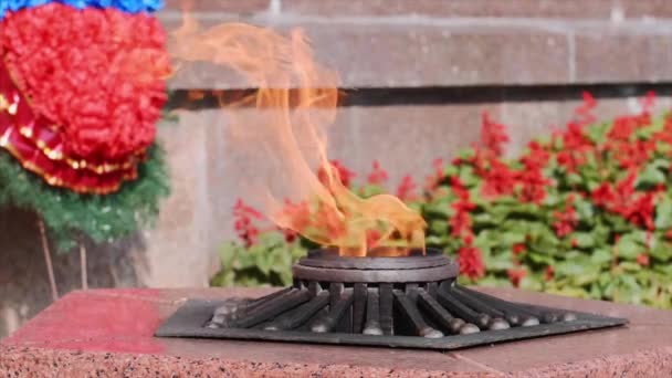 Eternal flame monument with star and flowers at grave of unknown soldier. — Stock Video