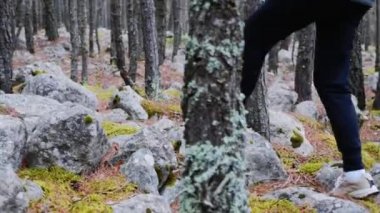 Sonbaharda çam ormanında parke taşları üzerinde yürüyen sırt çantası ile kadın yürüyüşçü.