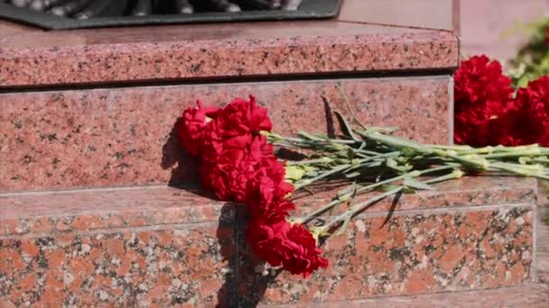 Nelkenrote Blumen auf Granitstufen am Denkmal der ewigen Flamme in Sewastopol. — Stockvideo
