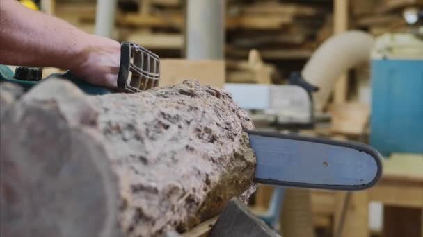 De mens zaagt een hout met een elektrische kettingzaag bij timmerwerk — Stockvideo