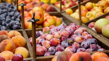 Market raflarında çeşitli meyveler