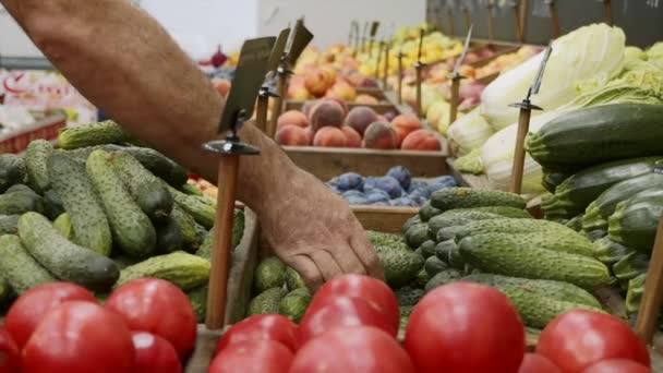 Κοντινά χέρια του εργάτη παντοπωλείου τακτοποιεί αγγούρια στα ράφια των καταστημάτων — Αρχείο Βίντεο