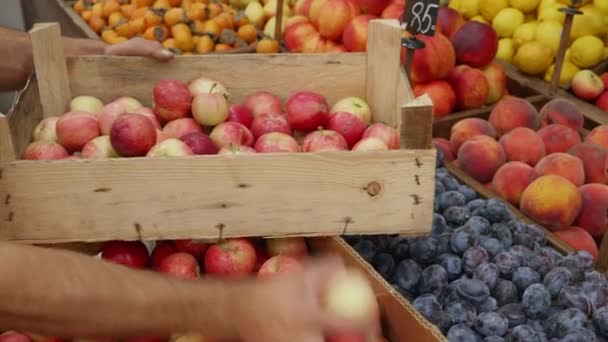 Close-up van de kruidenier verschuift de appels naar houten doos — Stockvideo