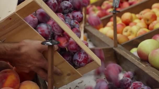 Närbild av livsmedelsarbetare är häller plommon från trälåda på butikshyllor. — Stockvideo