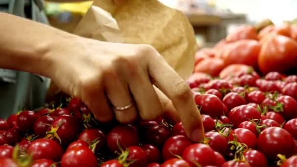 Närbild kvinnlig hand är att välja en körsbärstomater i mataffären — Stockvideo