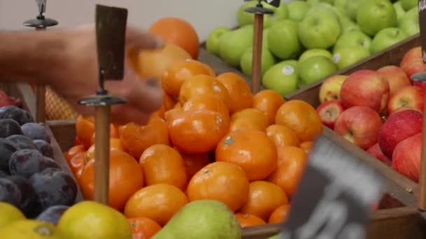 Närbild händer livsmedelsarbetare arrangerar ekologiska frukter på butikshyllor. — Stockvideo